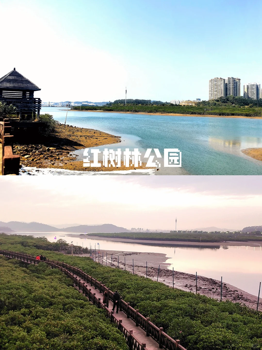 防城港—广西边陲城市🌊