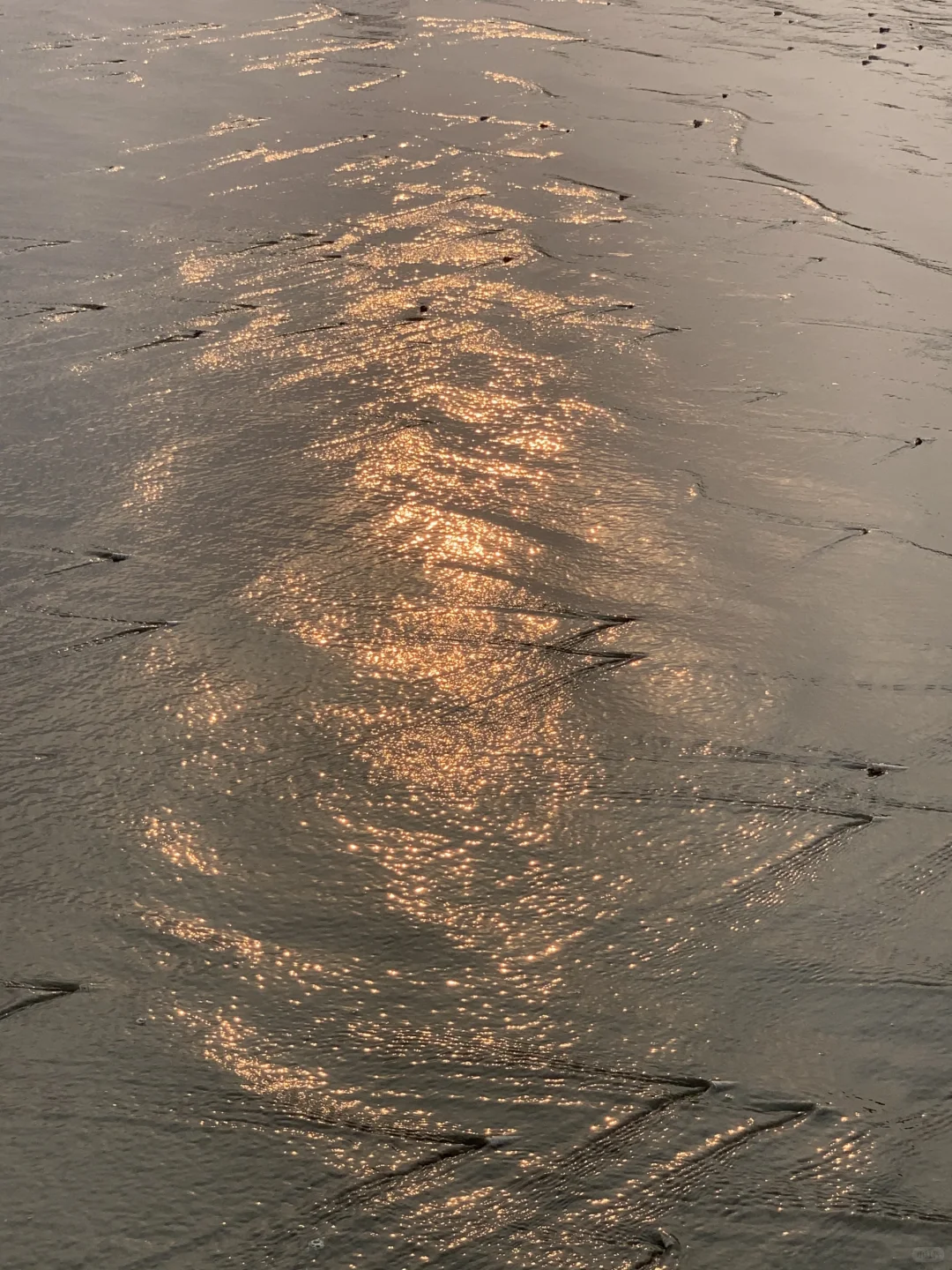 大学生防城港穷游记