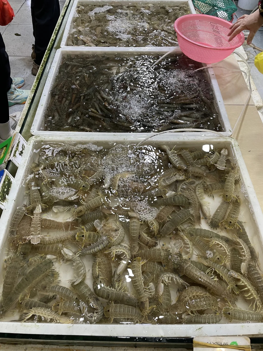 防城港回来了，说点大实话！