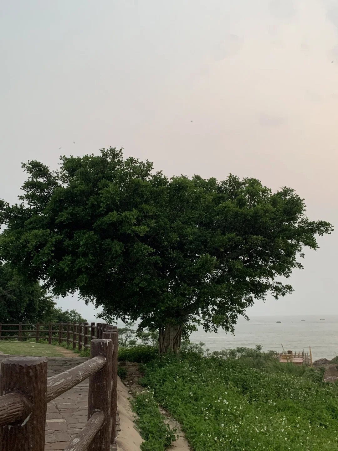 大学生防城港穷游记