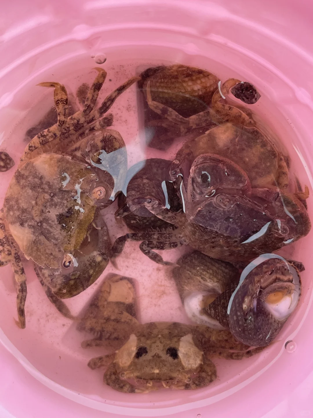 防城港回来了，说点大实话！