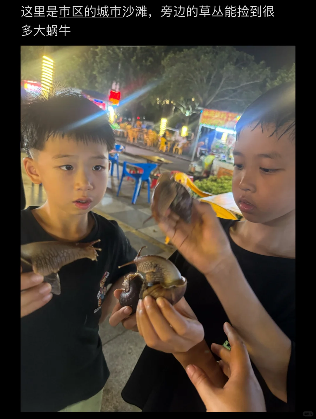 2024防城港暑期家庭游