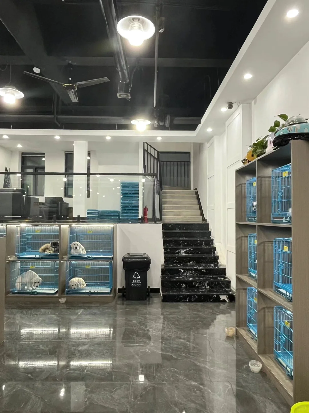 防城港靠谱宠物基地推荐 买宠零距离互动