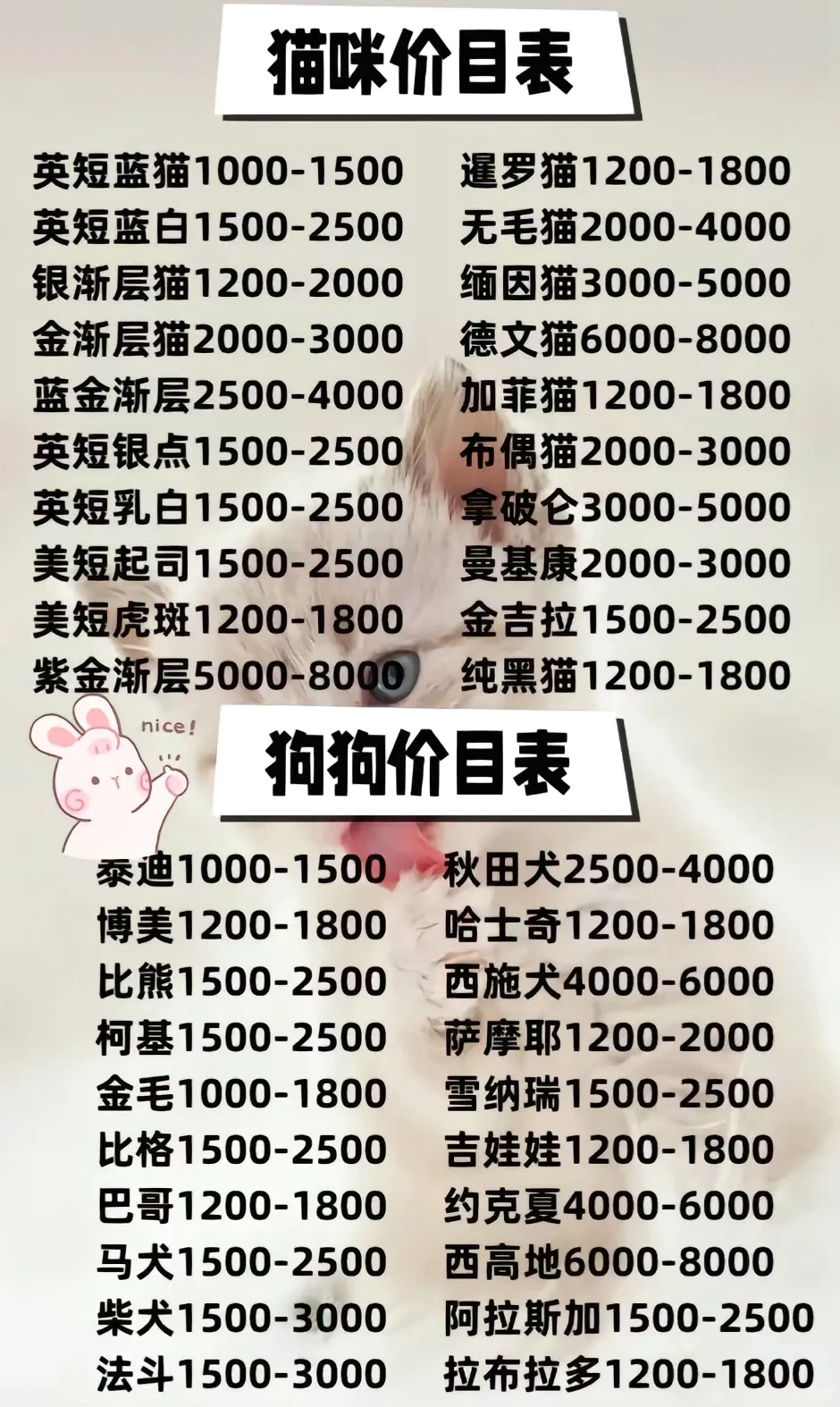 防城港靠谱宠物基地推荐 买宠零距离互动