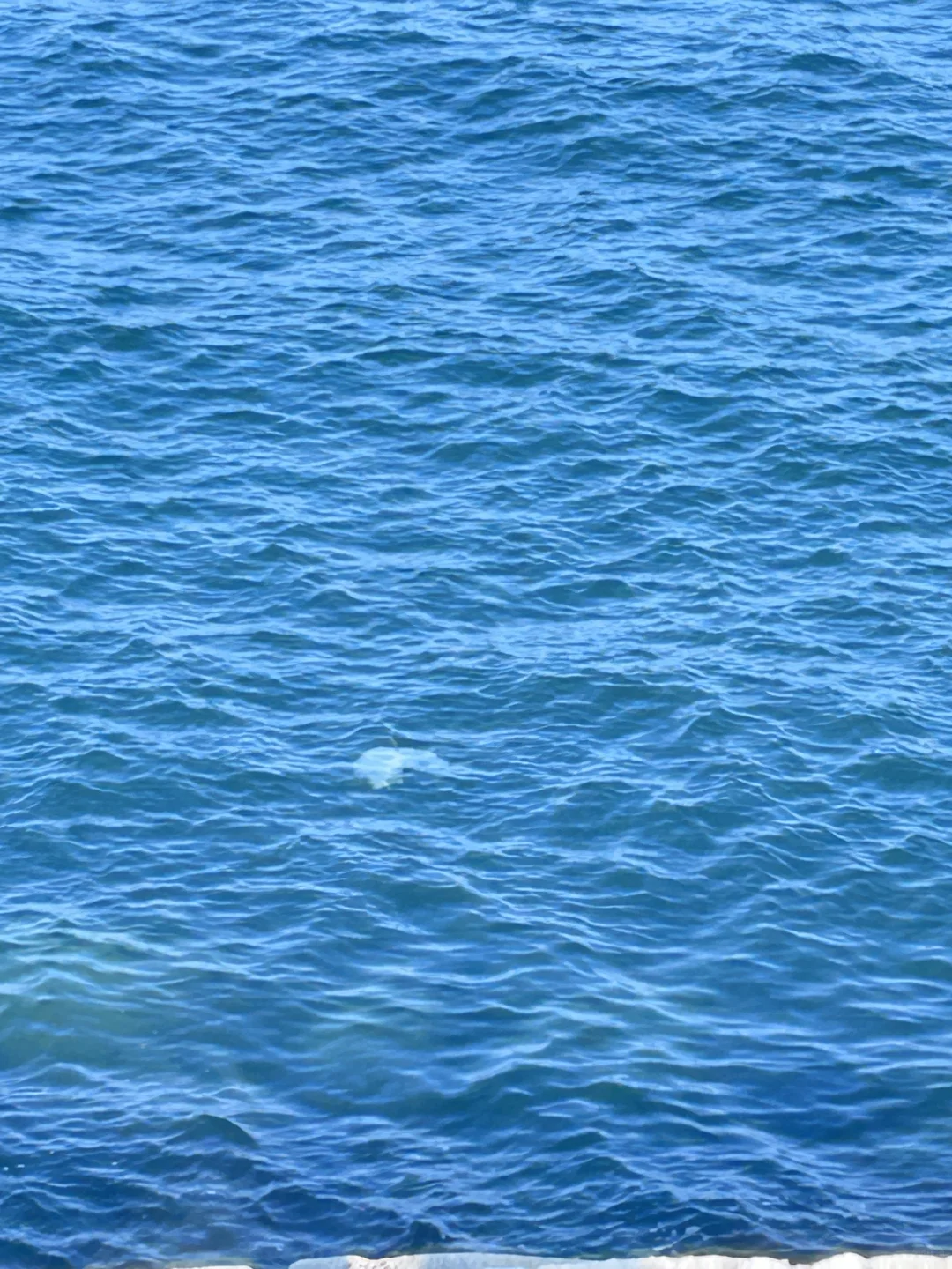 五一防城港已回，本地人都惊叹我的攻略