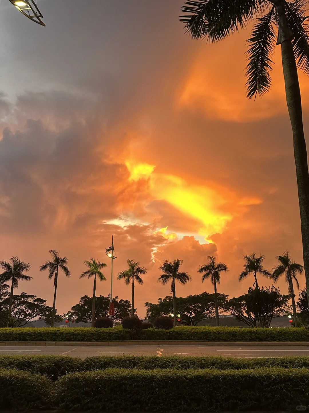 防城港海边🏝️两天一夜吃喝攻略（live版