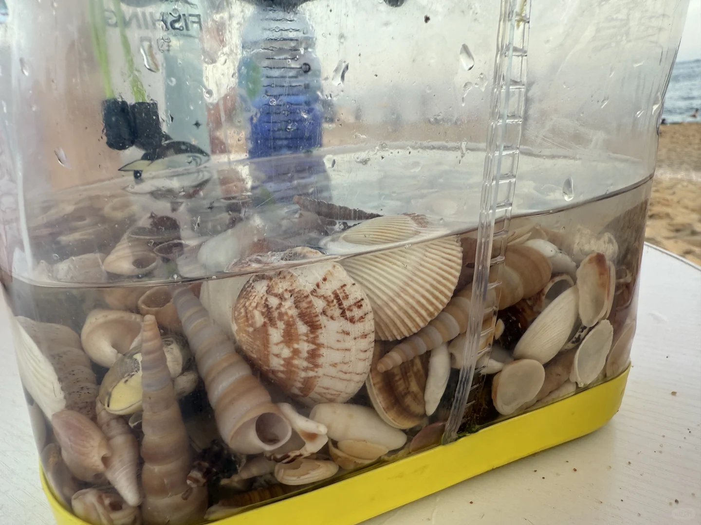 防城港旅游住宿、交通和路线