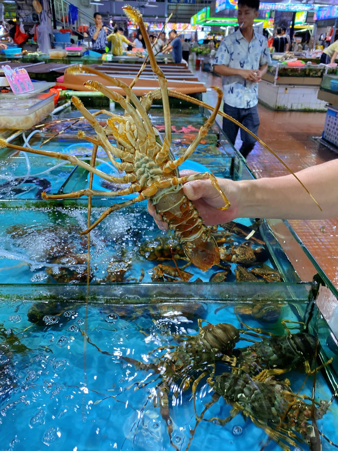 防城港第1️⃣站！直奔海鲜市场吃到爽