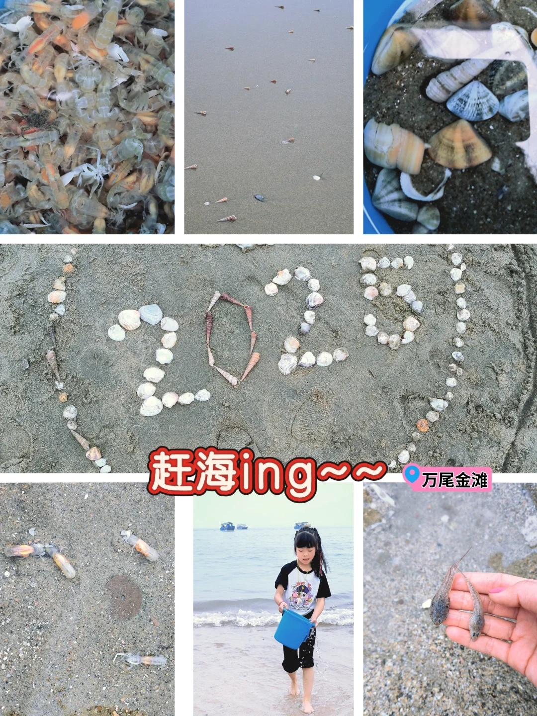 广西·防城港 | 比北海更适合遛娃的小众城市