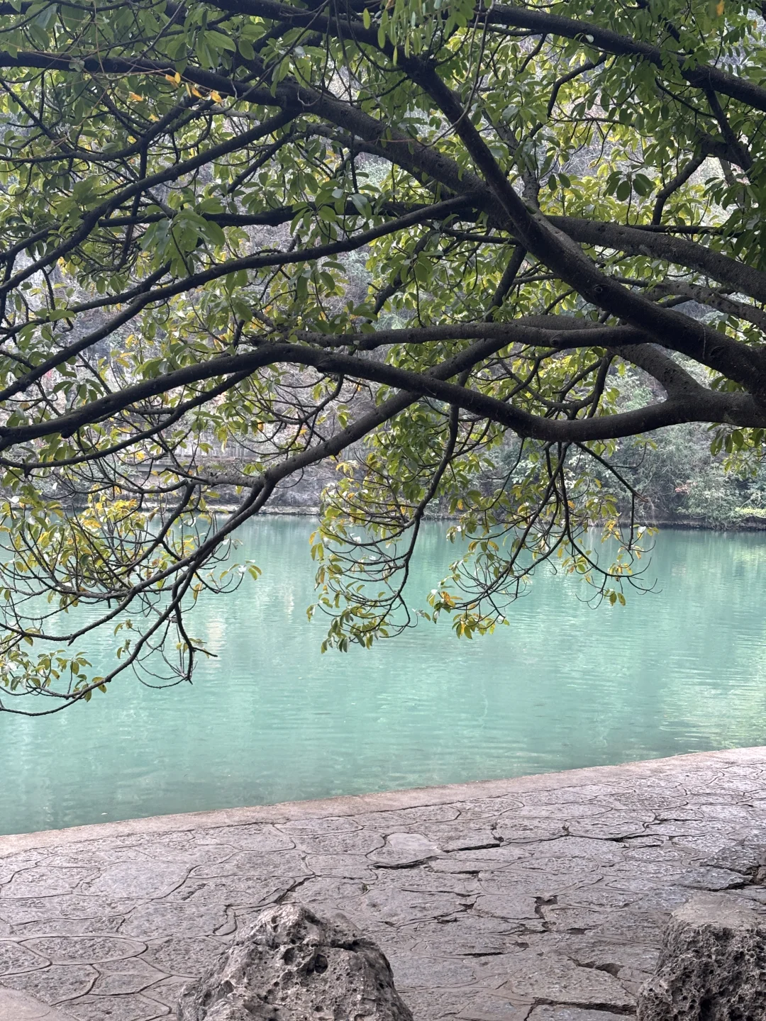 柳州📍人均300一日游攻略（内附路线）