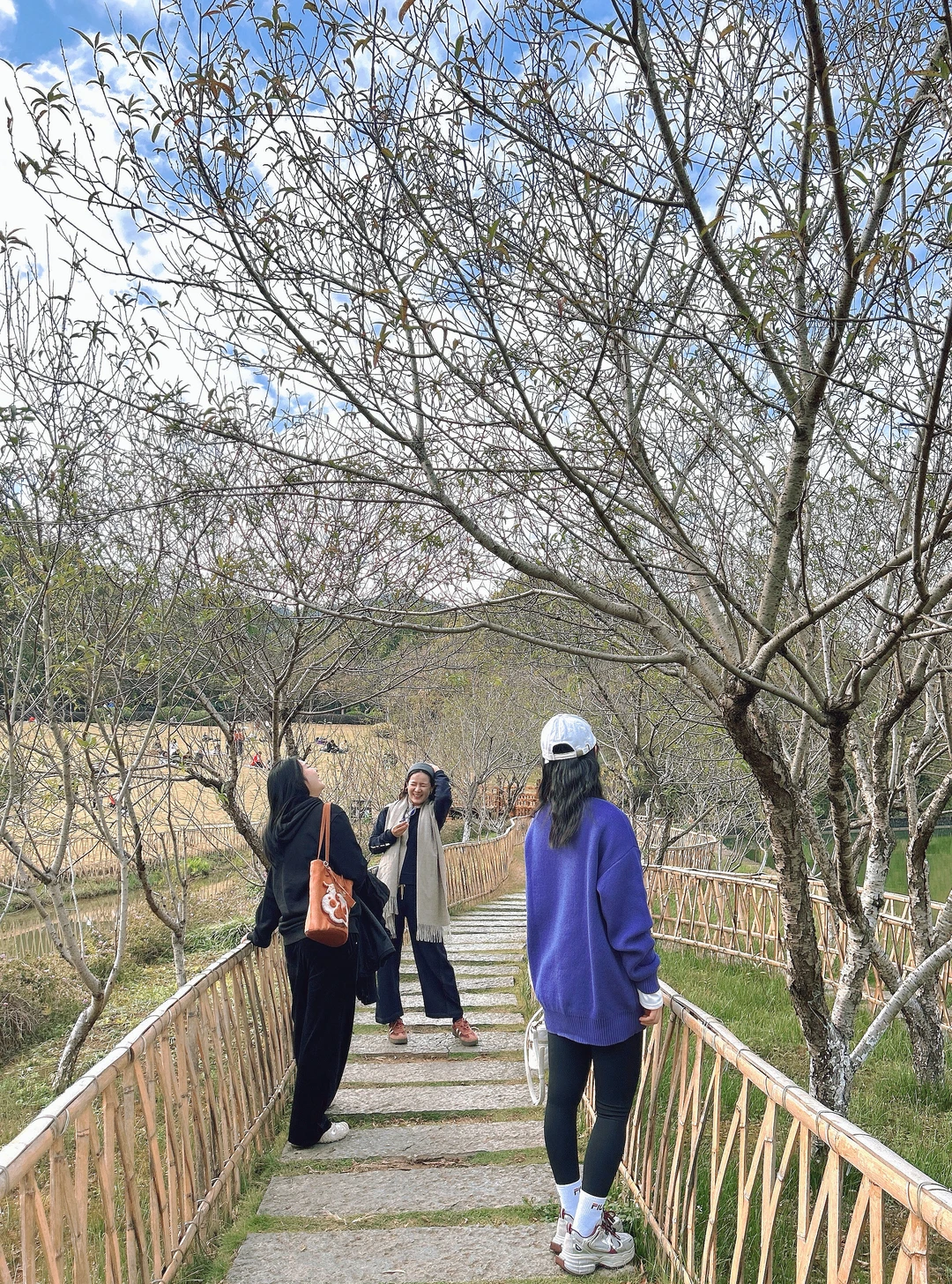 需要帶1TB的胃來這個地方裝小吃｜柳州