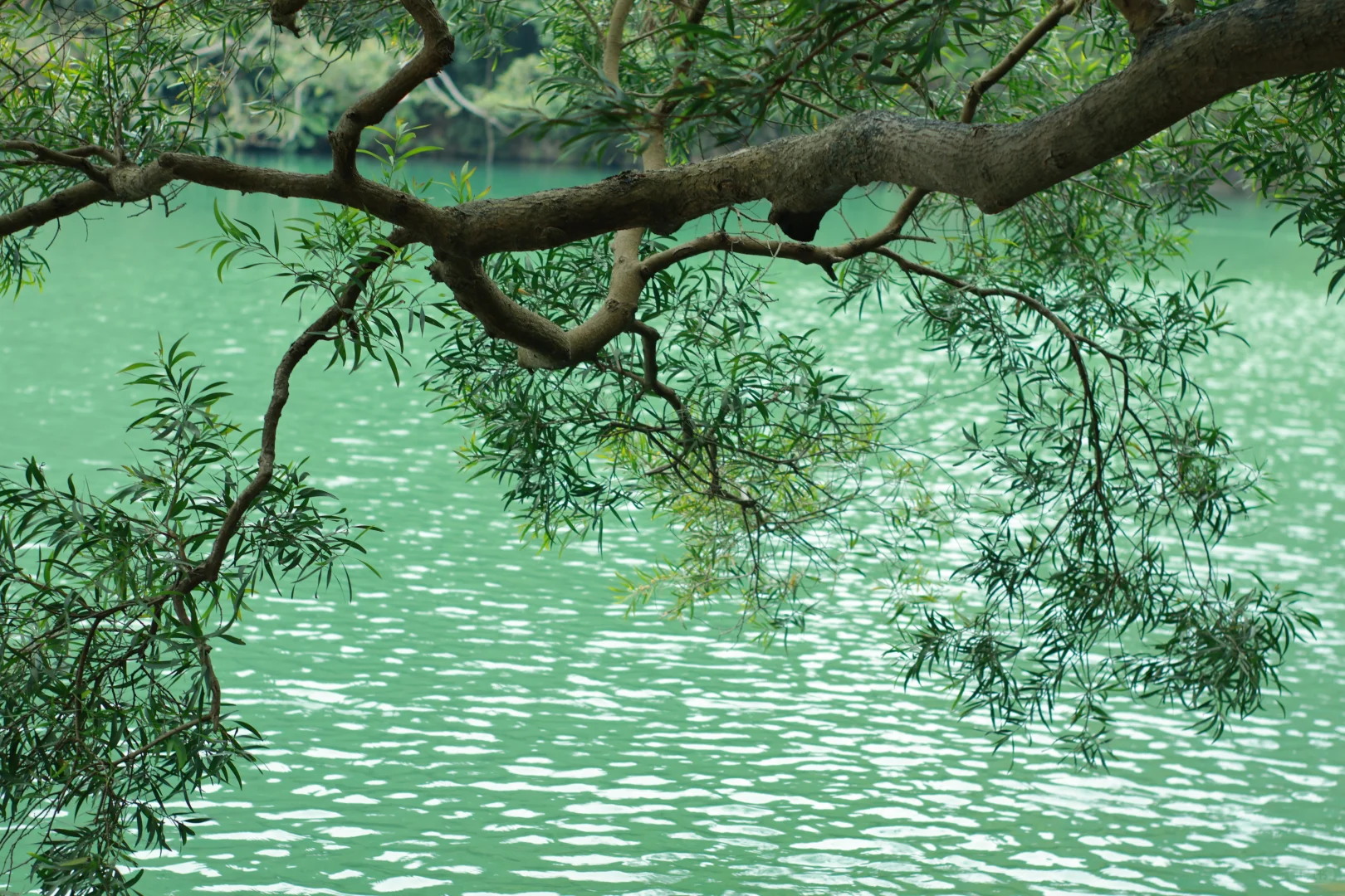 柳州极限48小时游