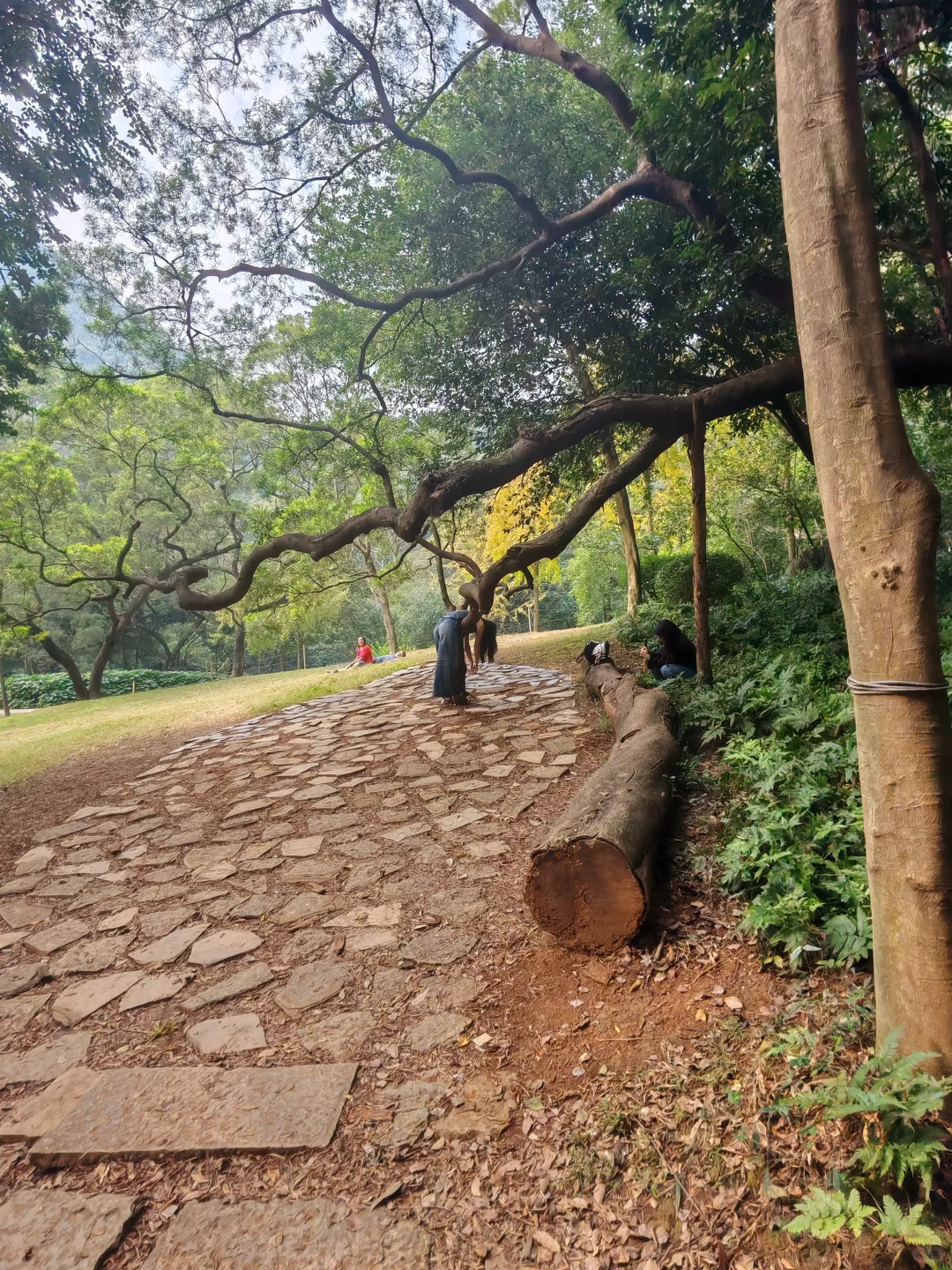 柳州龙潭公园，好美，怎么拍都不够