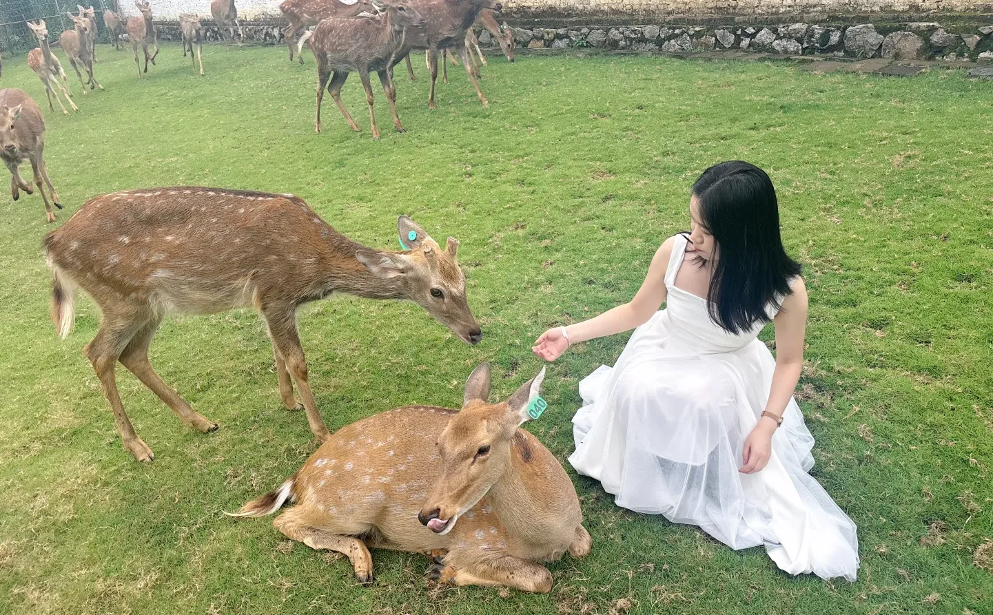 柳州 隐藏的小众景点