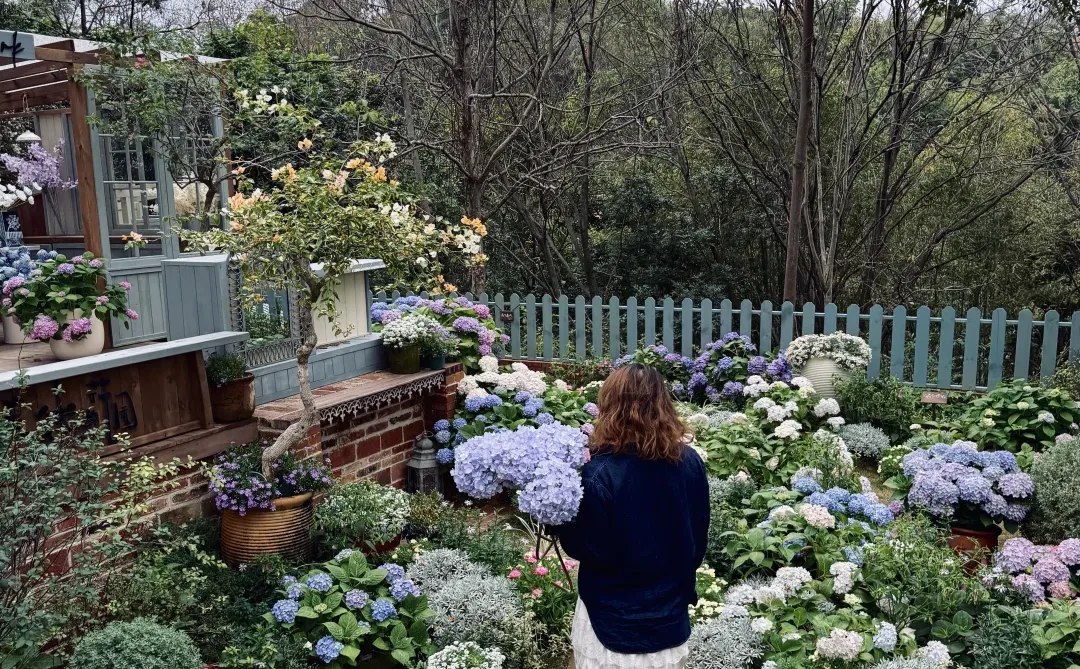 新开的法式庄园！预计要成为柳州下一个顶流