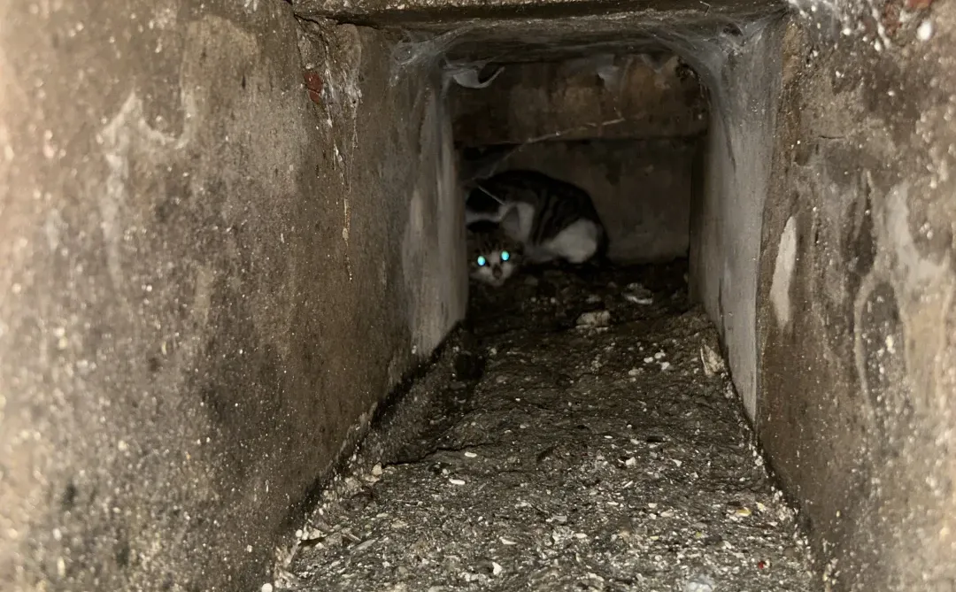 柳州救助！！！