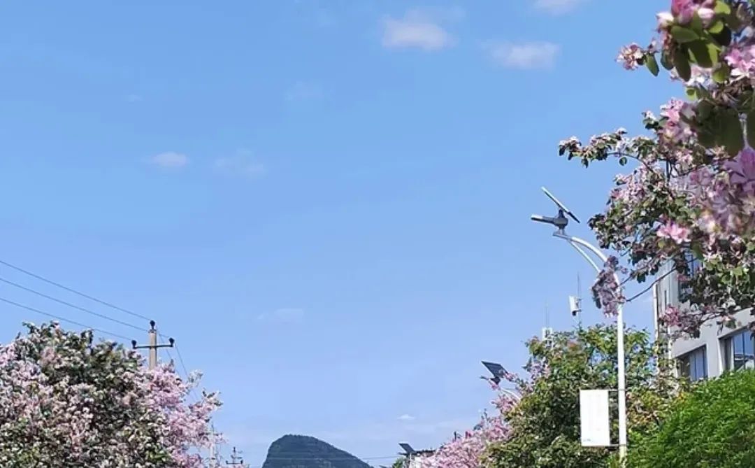 柳州出行！住这家酒店直接解锁一站式逛吃