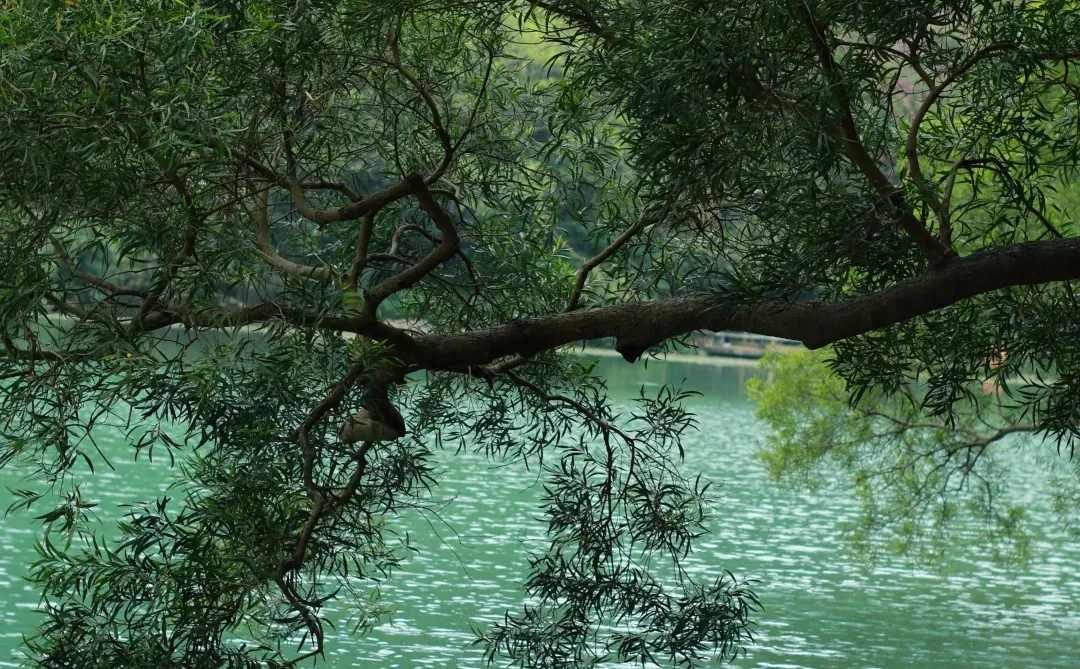 柳州极限48小时游