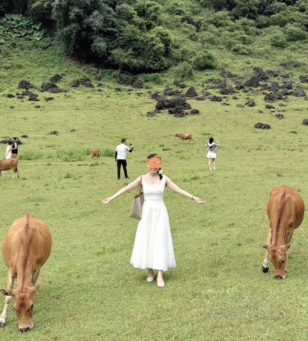 柳州 隐藏的小众景点