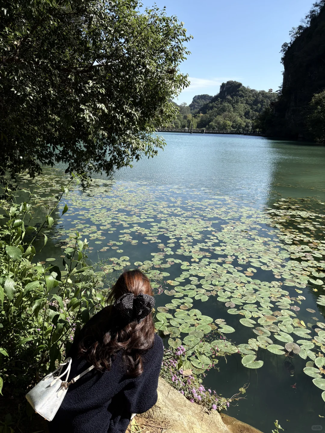 柳州你有龙潭公园就赢了啊