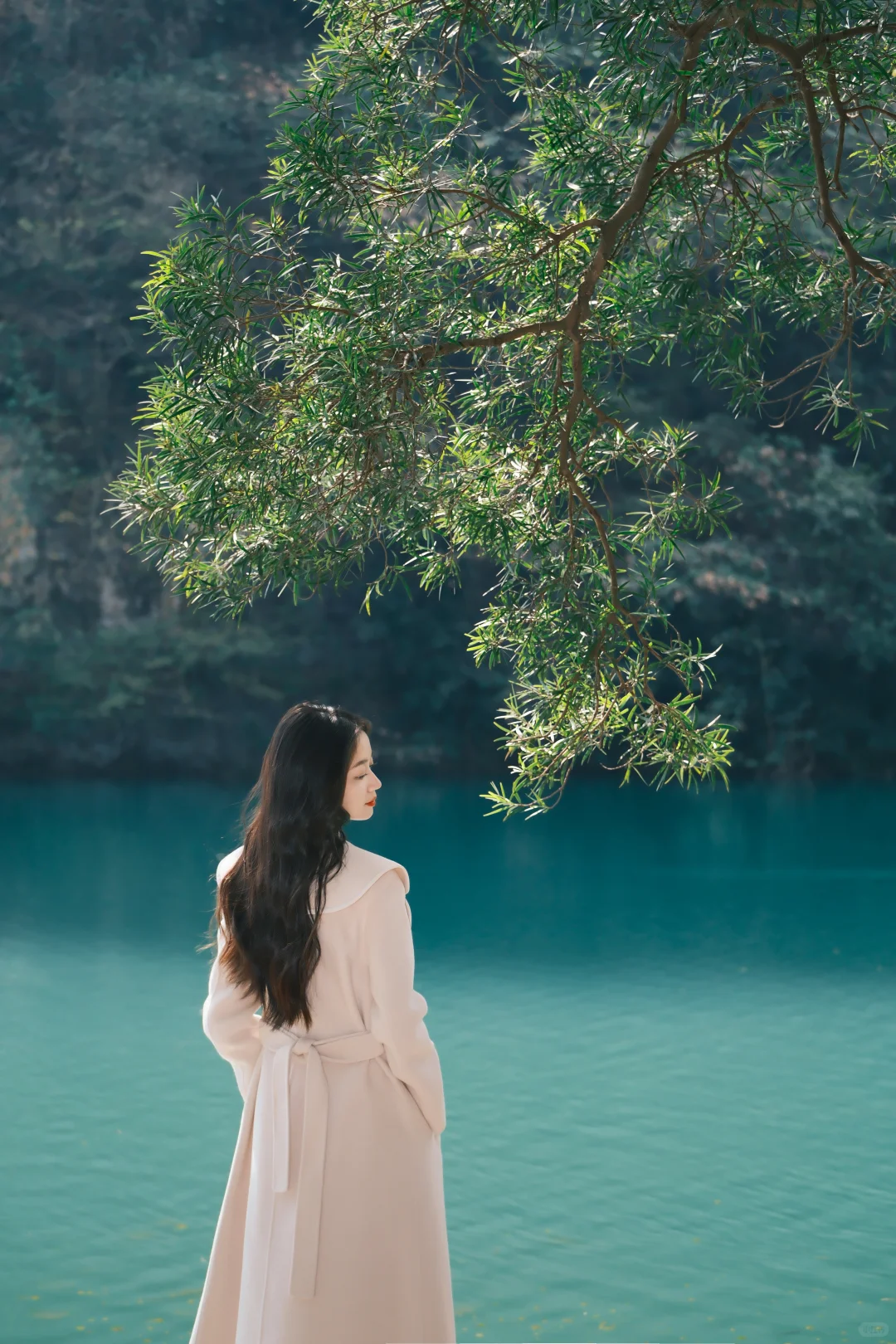 龙潭公园十二月拍照打卡攻略 | 姿势动作