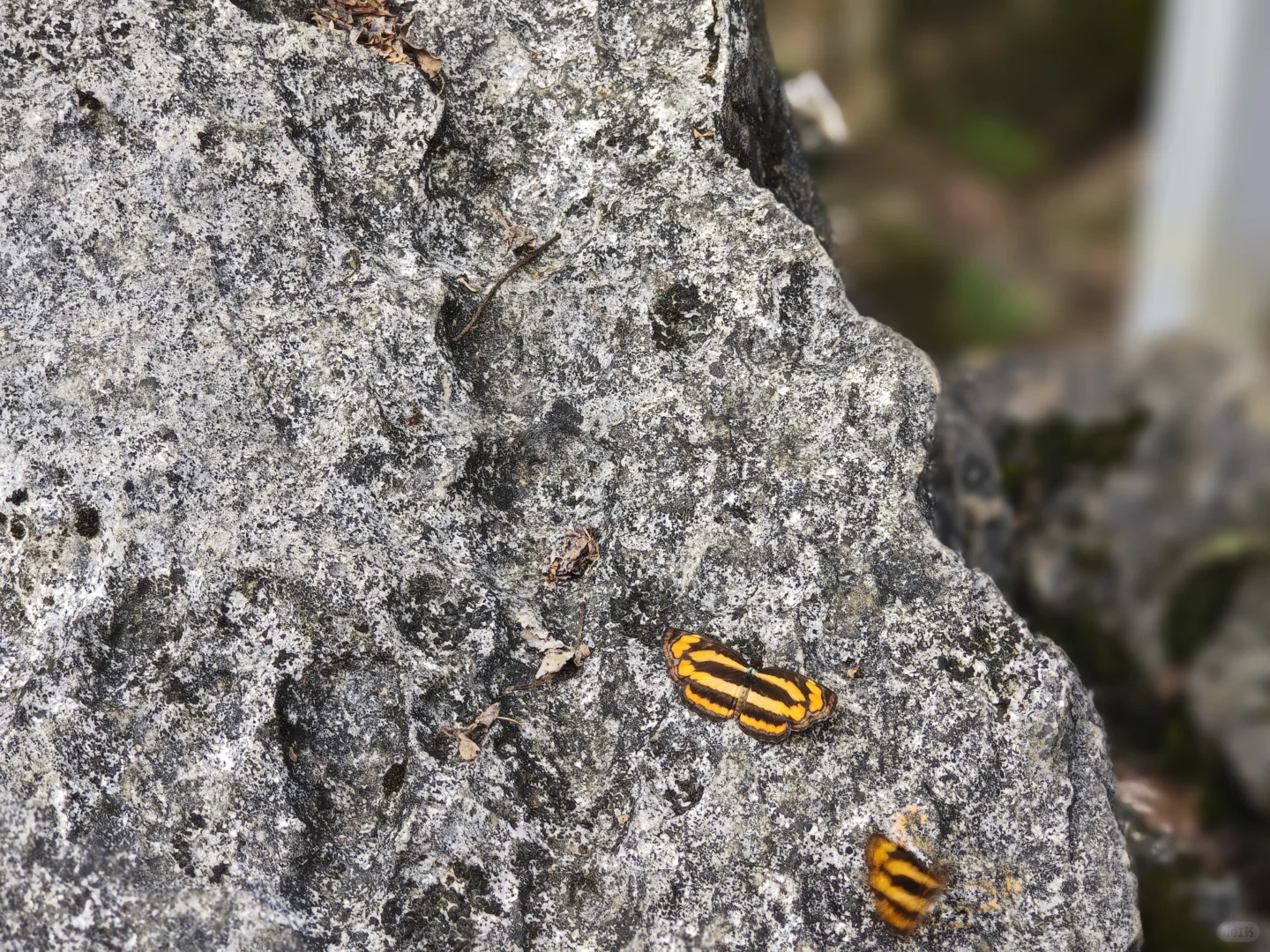 柳州 隐藏的小众景点