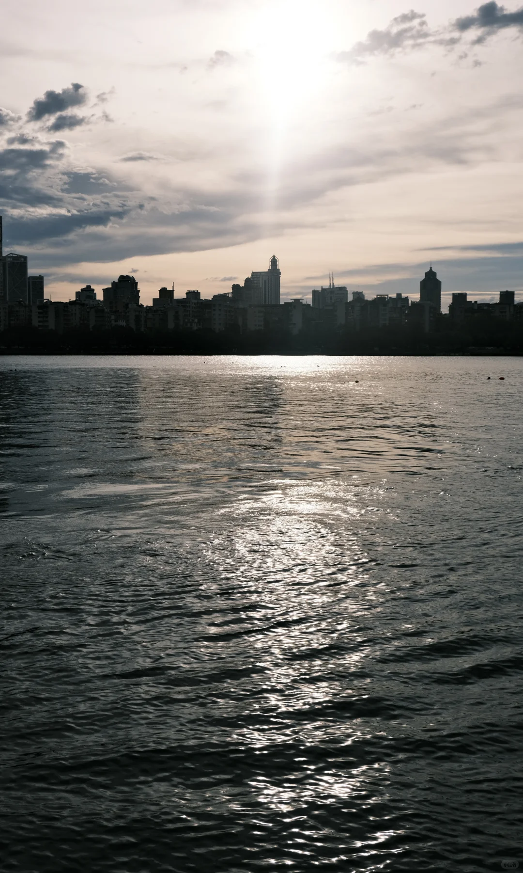 在柳州花得最值的3块钱!!!🌅