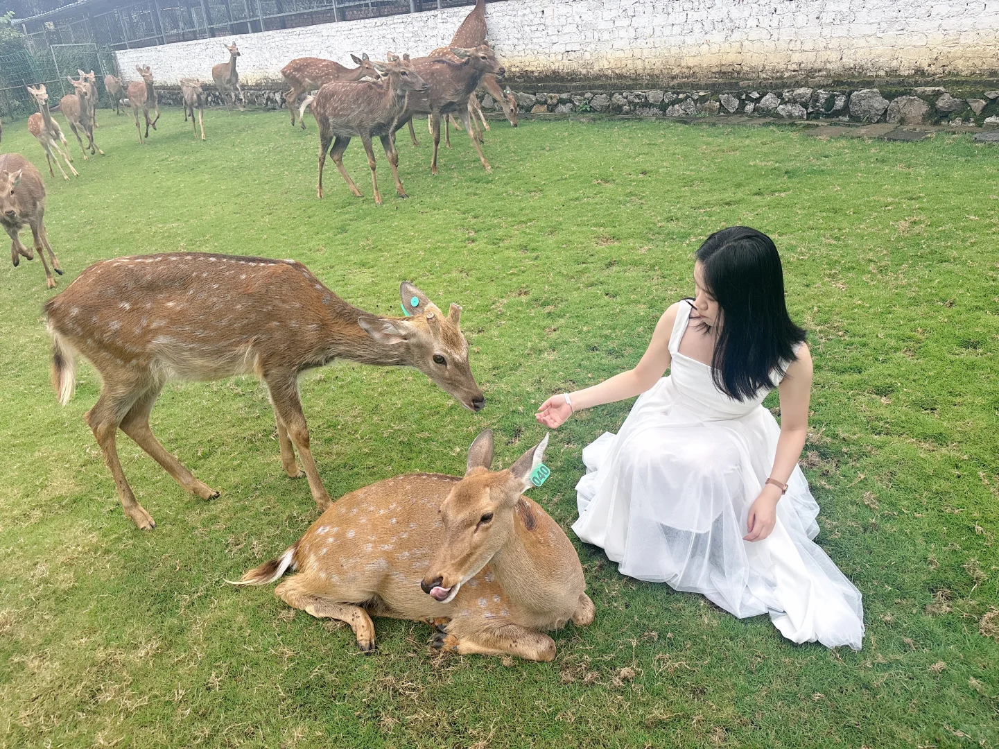 柳州 隐藏的小众景点