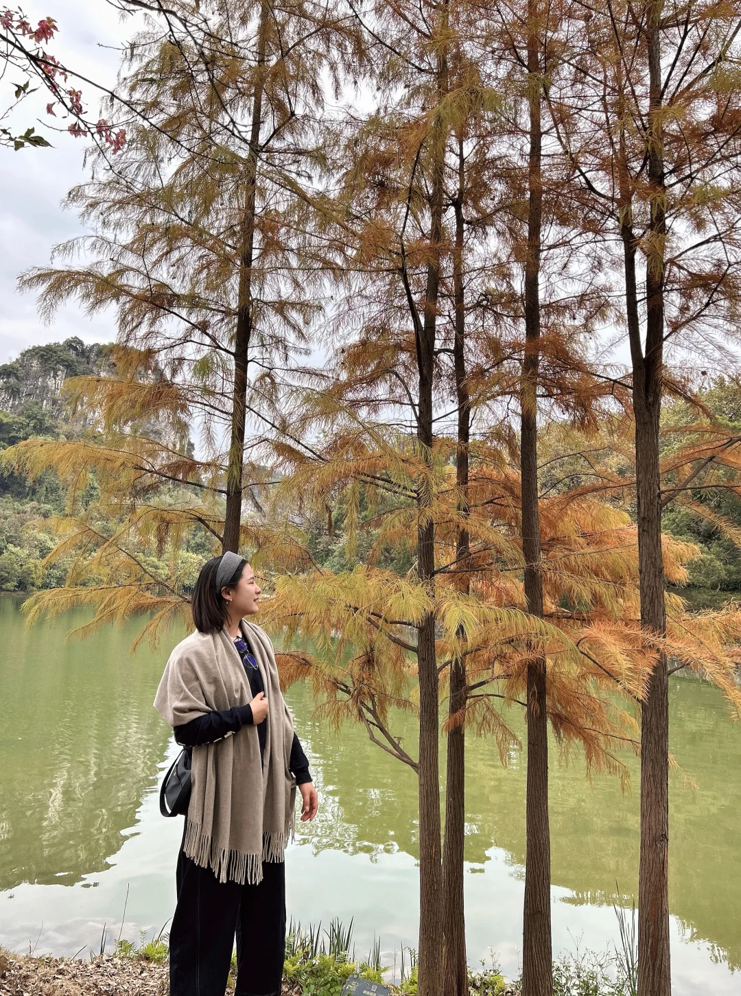 需要帶1TB的胃來這個地方裝小吃｜柳州