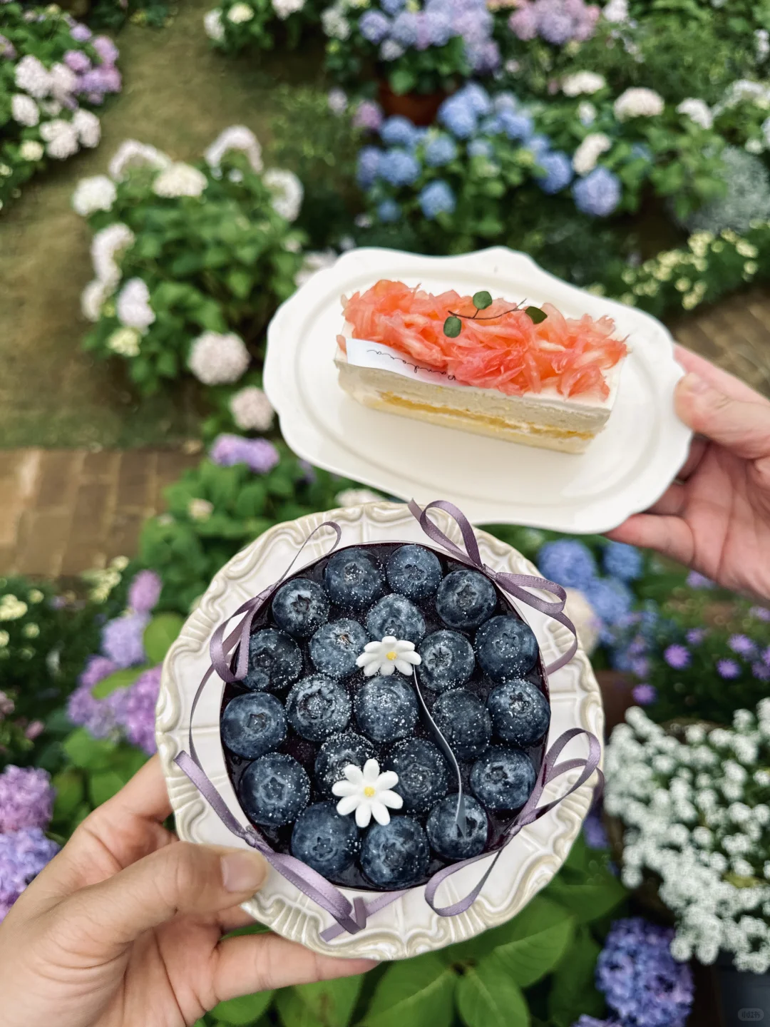 新开的法式庄园！预计要成为柳州下一个顶流