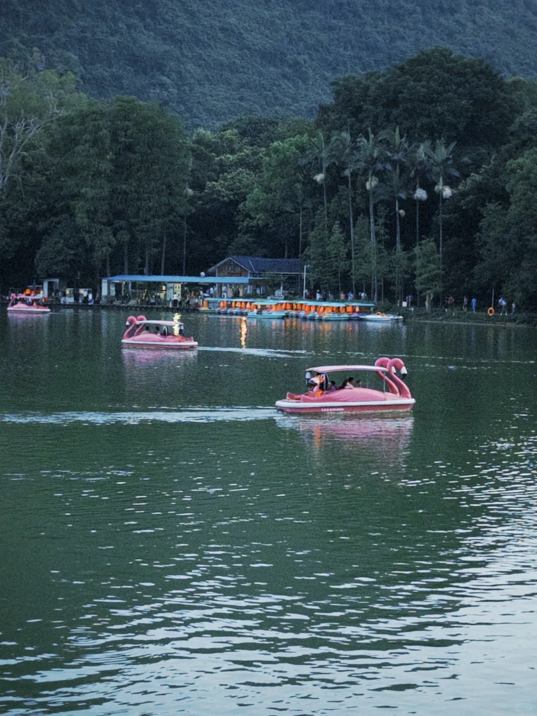 📍柳州·龙潭公园，柳州旅行的意外惊喜！🤟