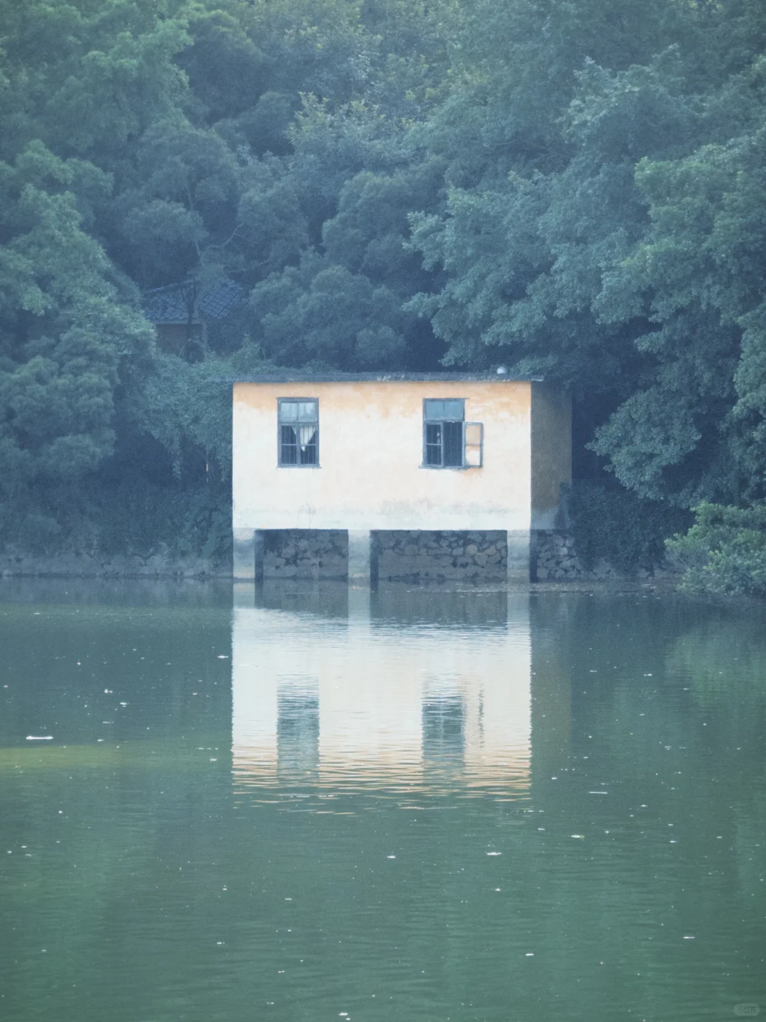 📍柳州·龙潭公园，柳州旅行的意外惊喜！🤟