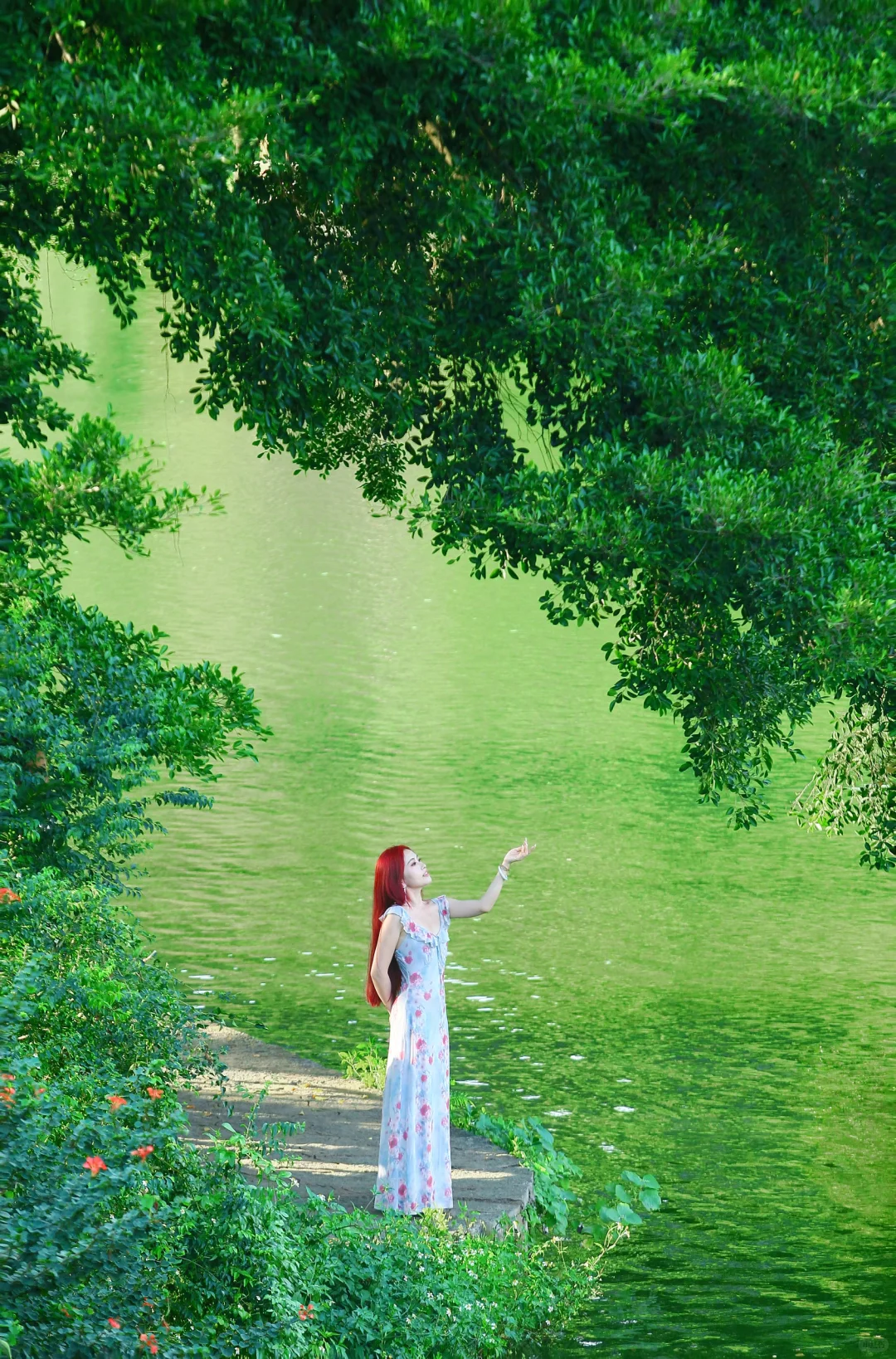 柳州龙潭公园—好像遇到了绿光森林🌿✨