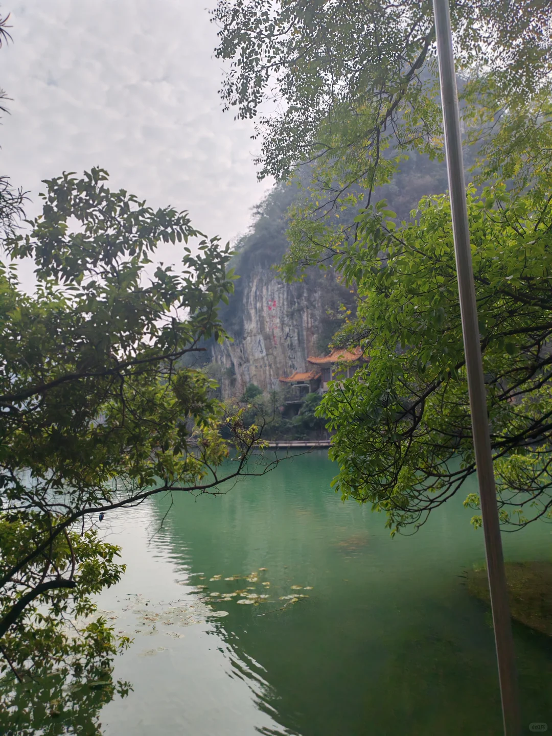 柳州龙潭公园，好美，怎么拍都不够