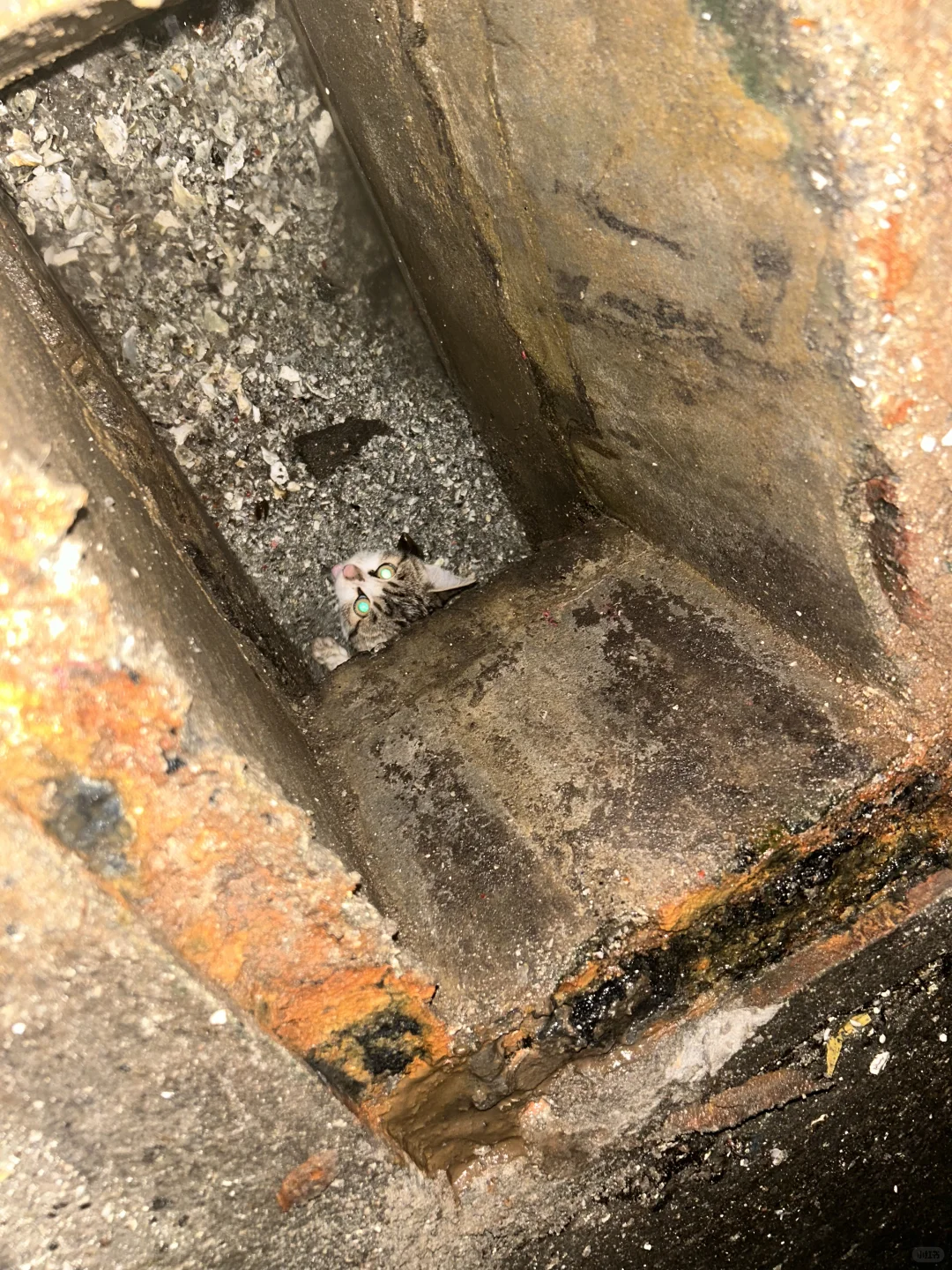 柳州救助！！！