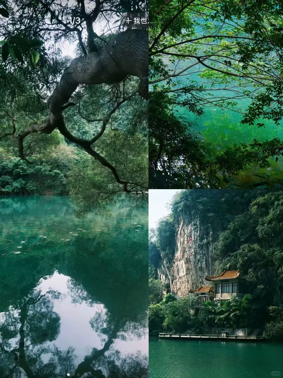 柳州！！！龙潭公园居然这么出片！！