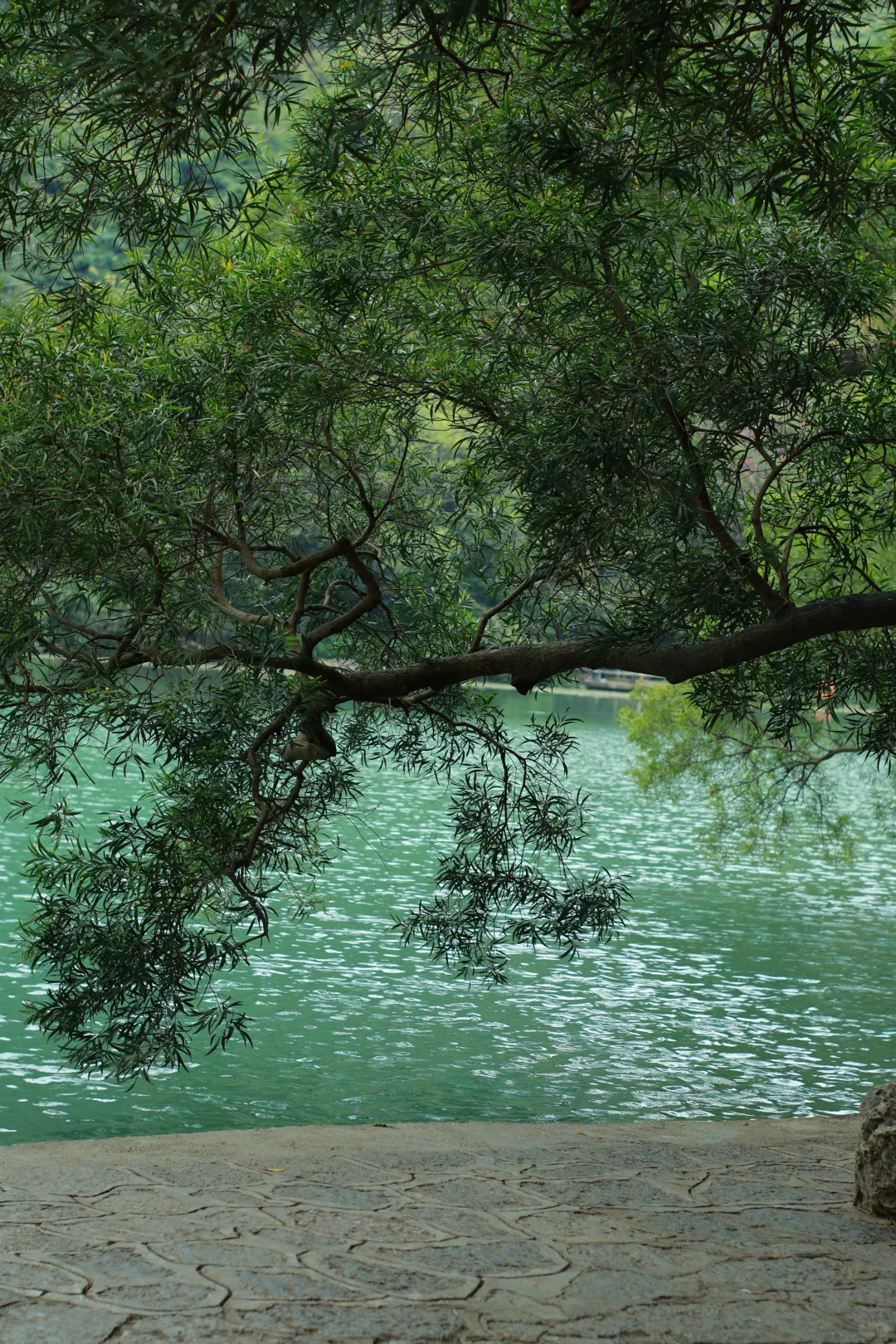 柳州极限48小时游