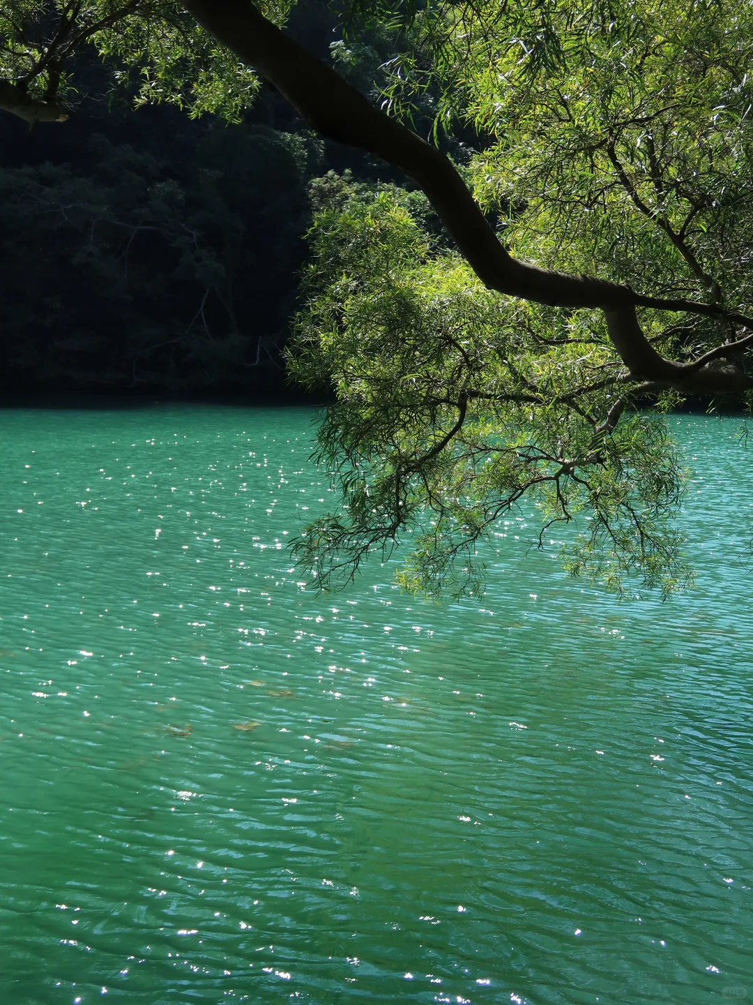 柳州你有龙潭公园就赢了啊