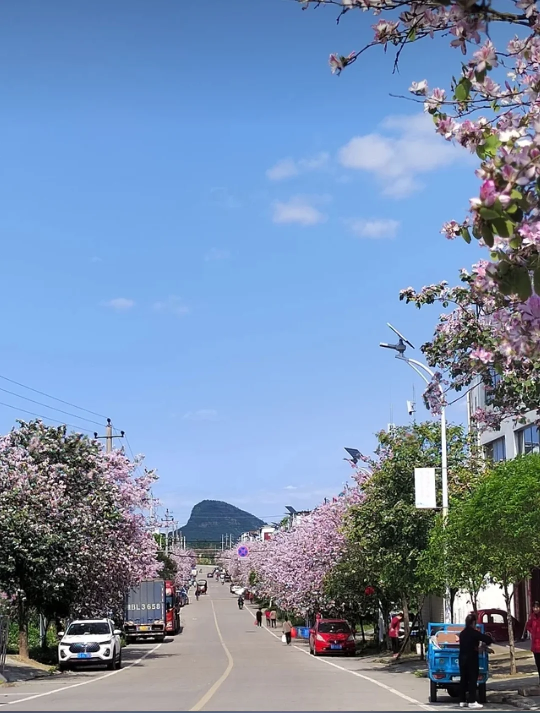 柳州出行！住这家酒店直接解锁一站式逛吃