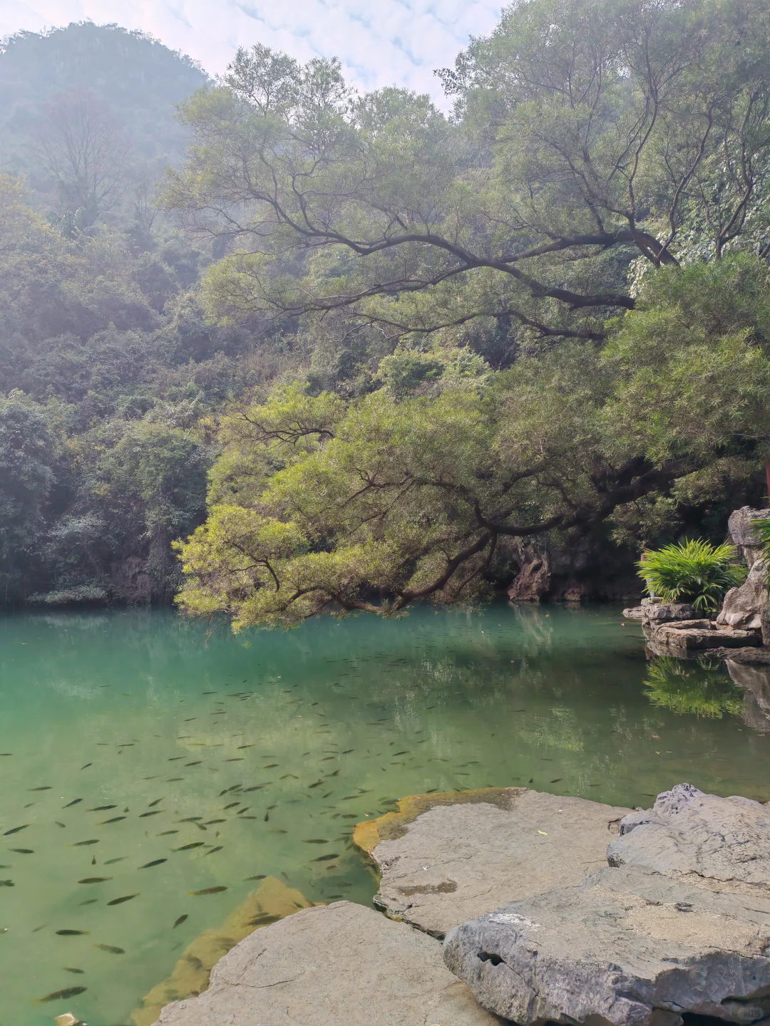 柳州龙潭公园，好美，怎么拍都不够