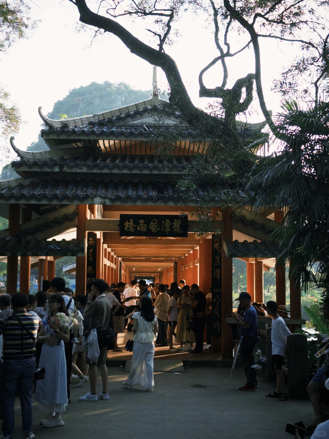 📍柳州·龙潭公园，柳州旅行的意外惊喜！🤟