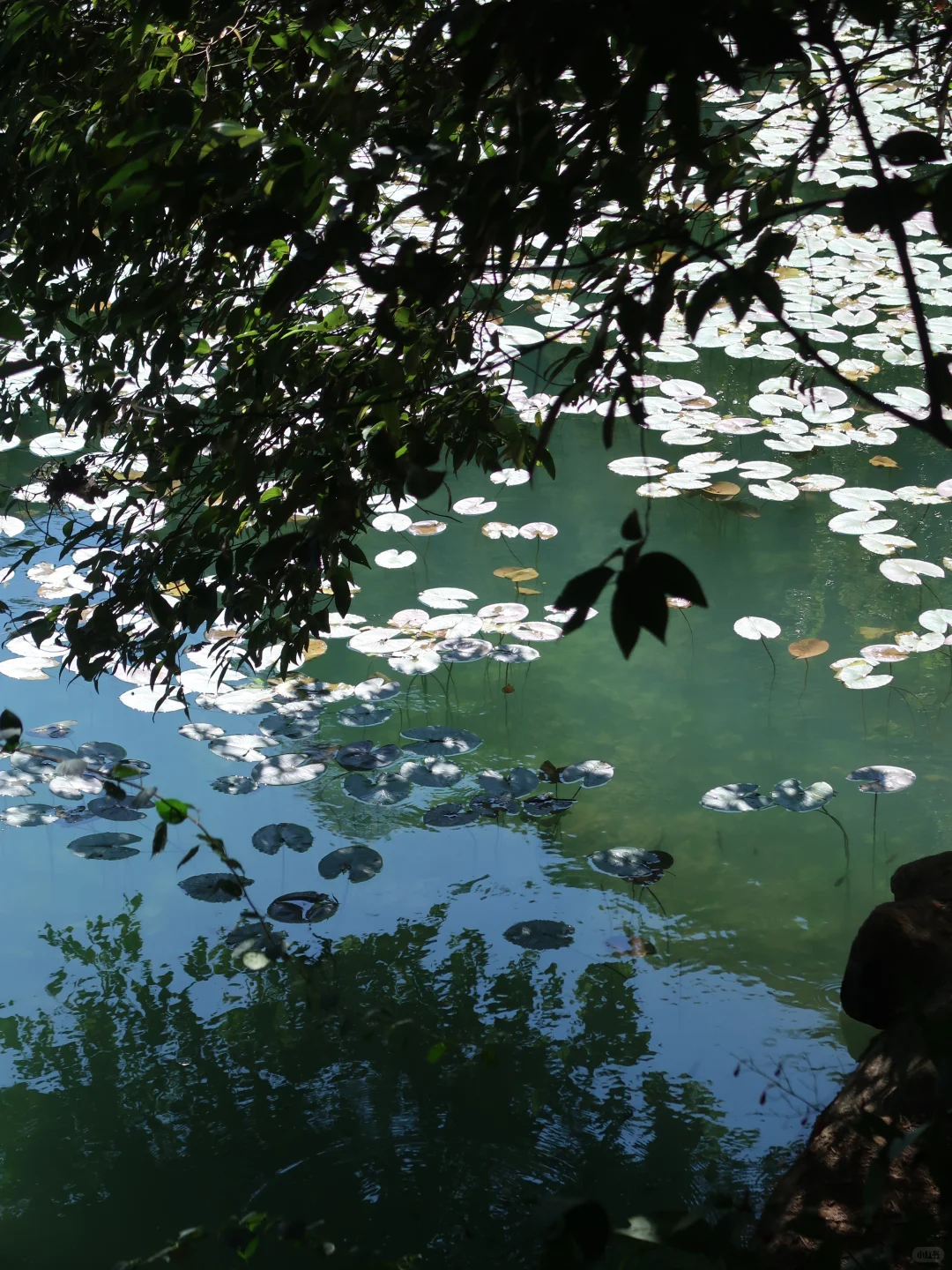 柳州你有龙潭公园就赢了啊