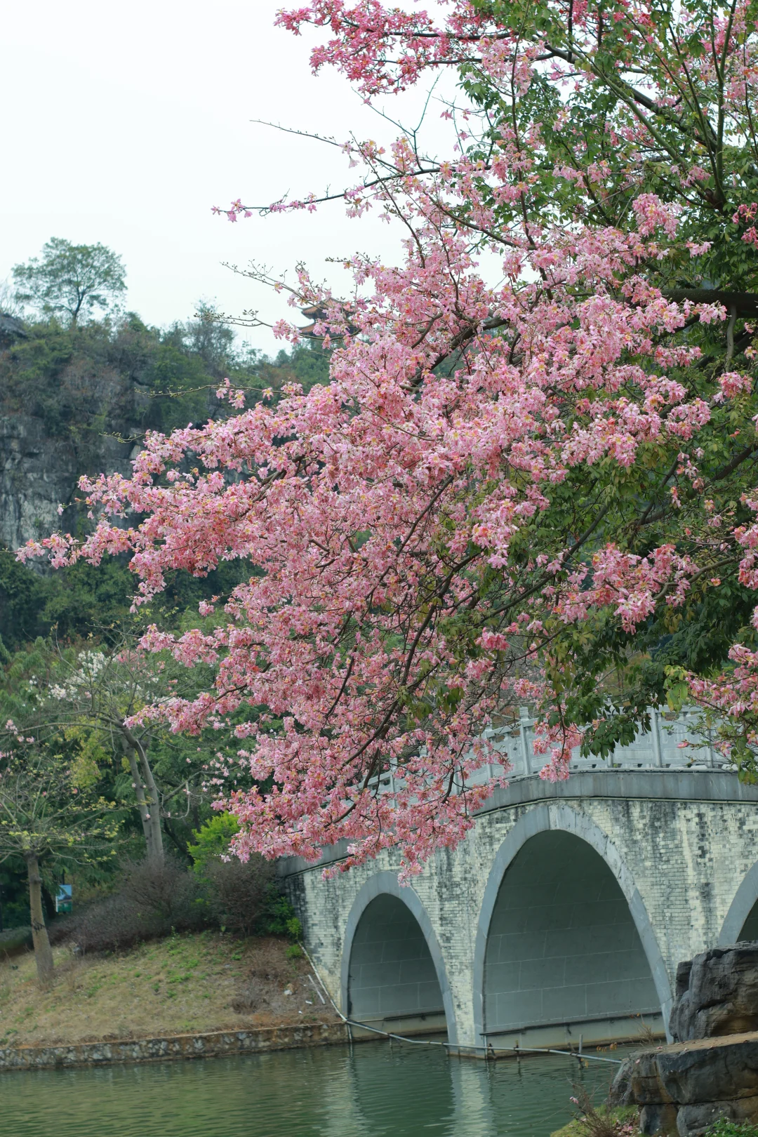 柳州极限48小时游