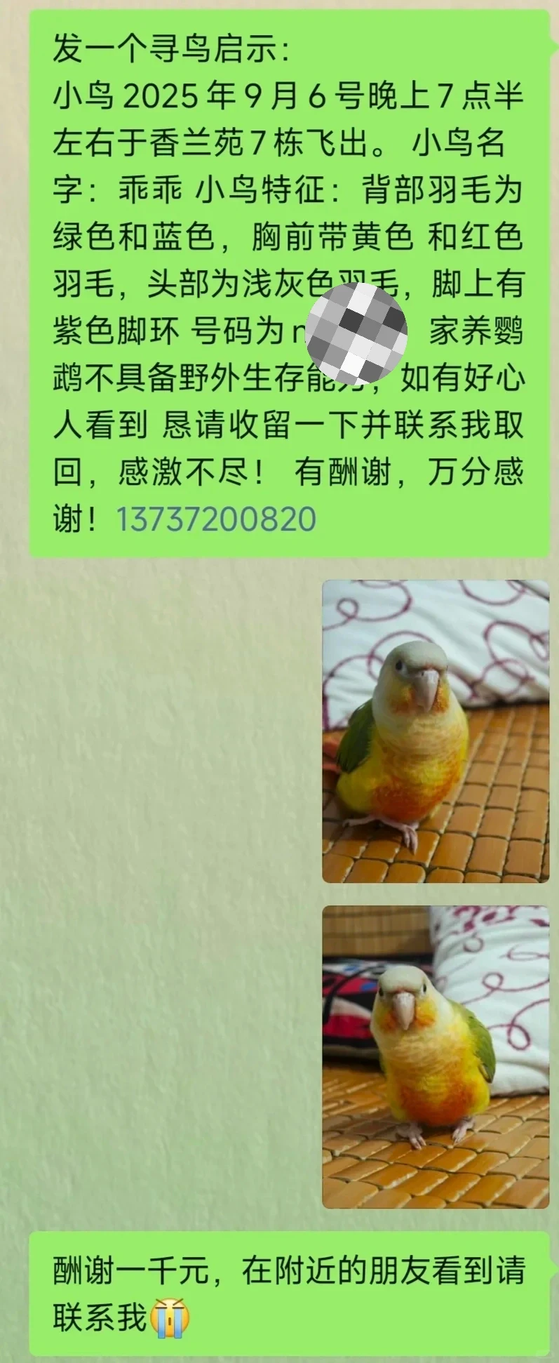 广西柳州寻鸟❗️❗️❗️