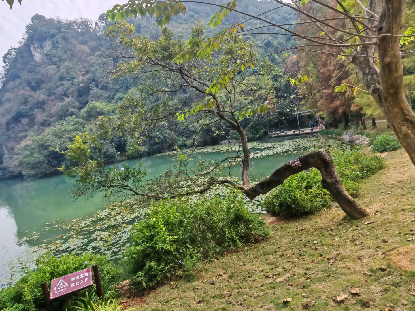 柳州龙潭公园，好美，怎么拍都不够