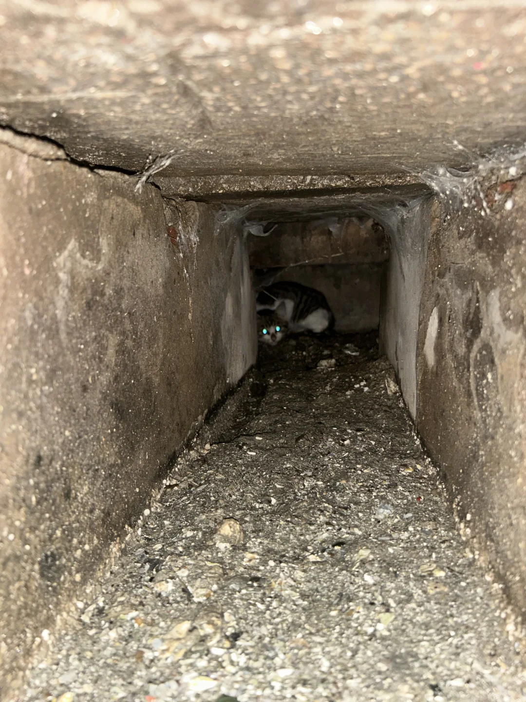 柳州救助！！！