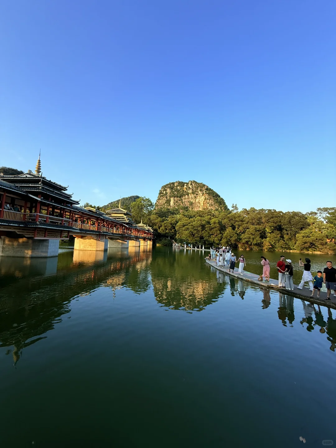 📍柳州·龙潭公园，柳州旅行的意外惊喜！🤟