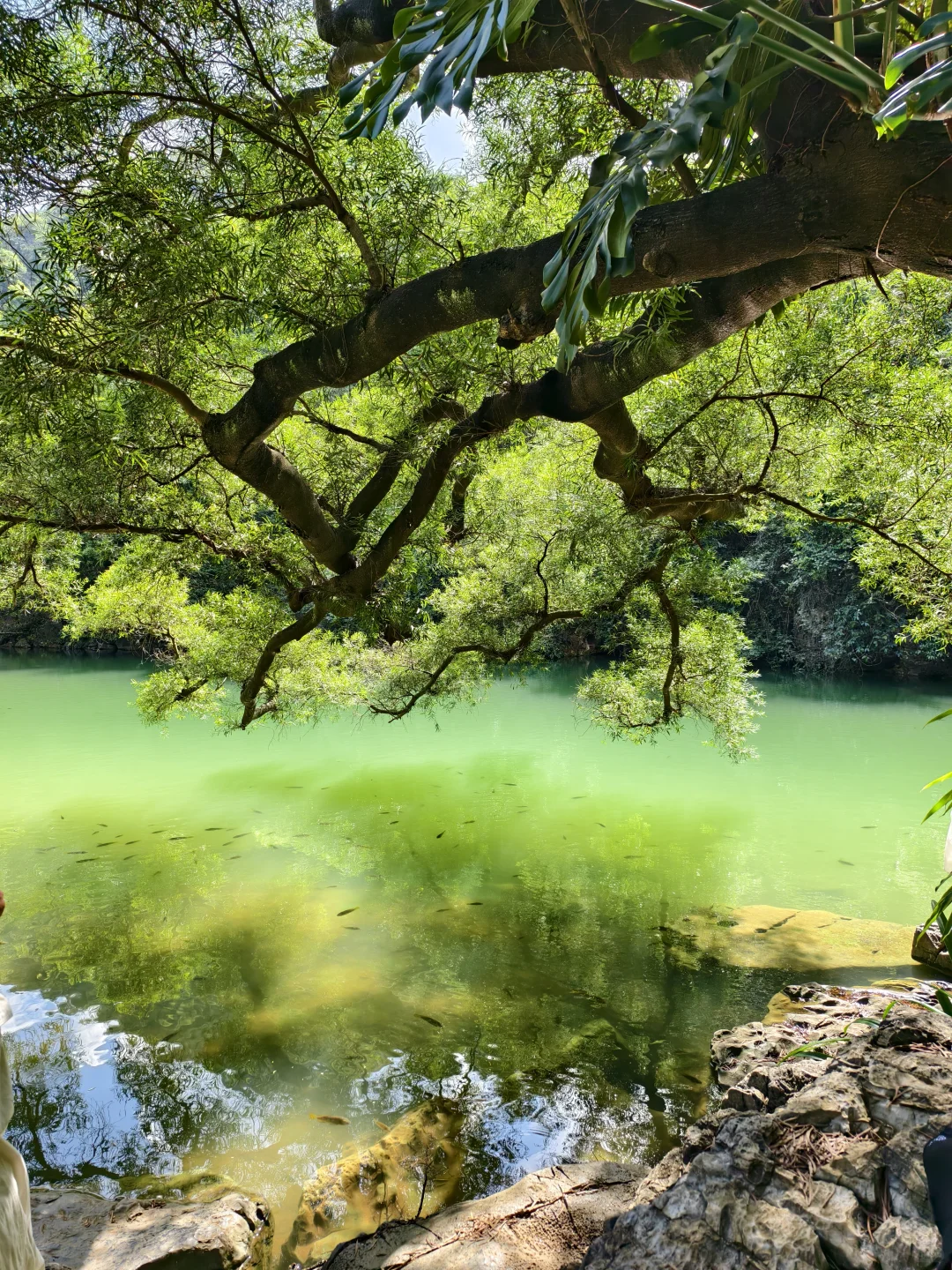 柳州两天一夜保姆级攻略🔥按这份玩不绕路