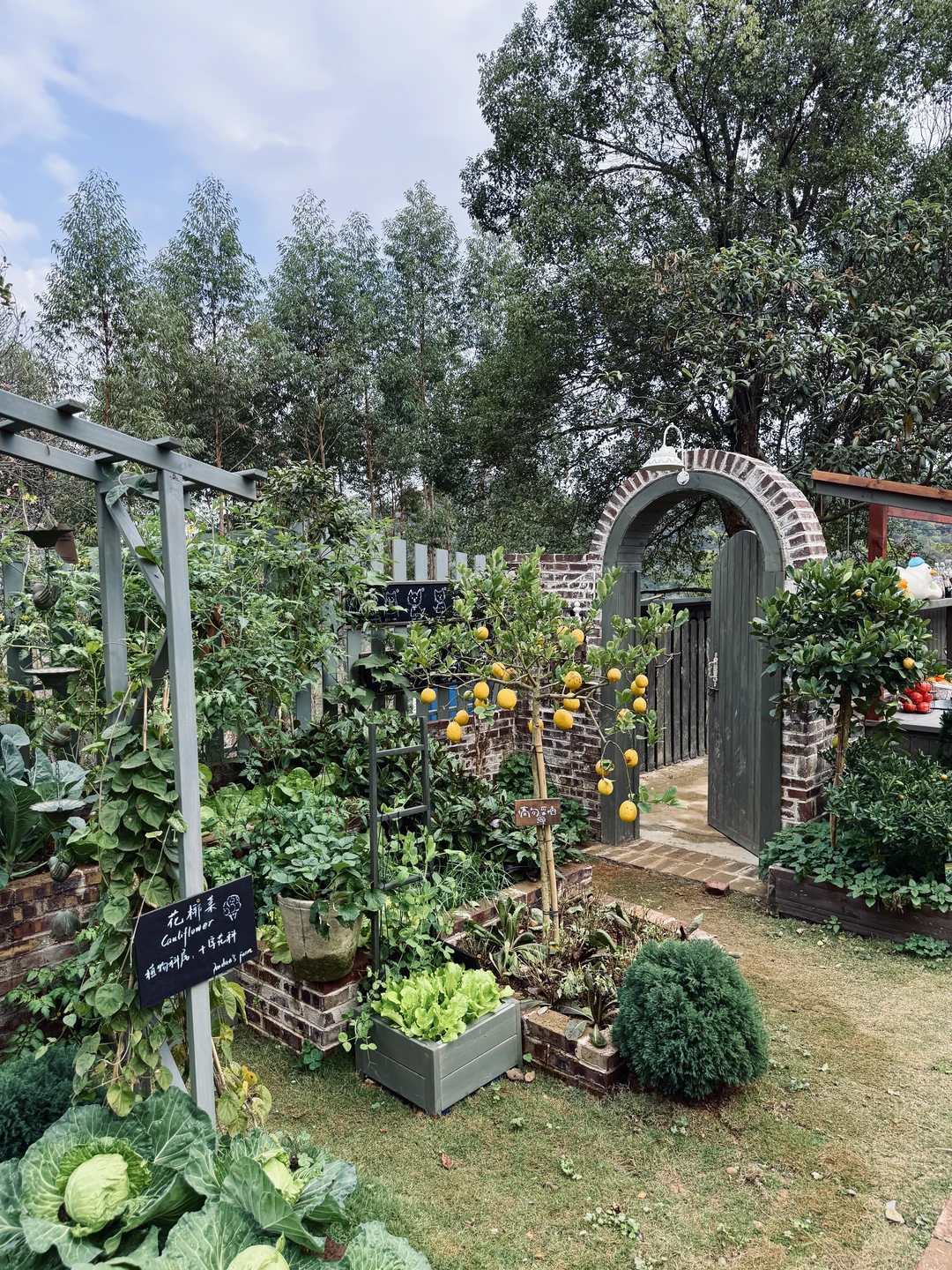 新开的法式庄园！预计要成为柳州下一个顶流