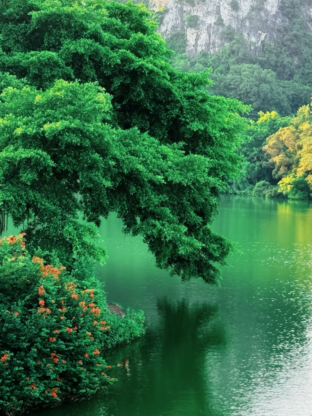 📍柳州·龙潭公园，柳州旅行的意外惊喜！🤟